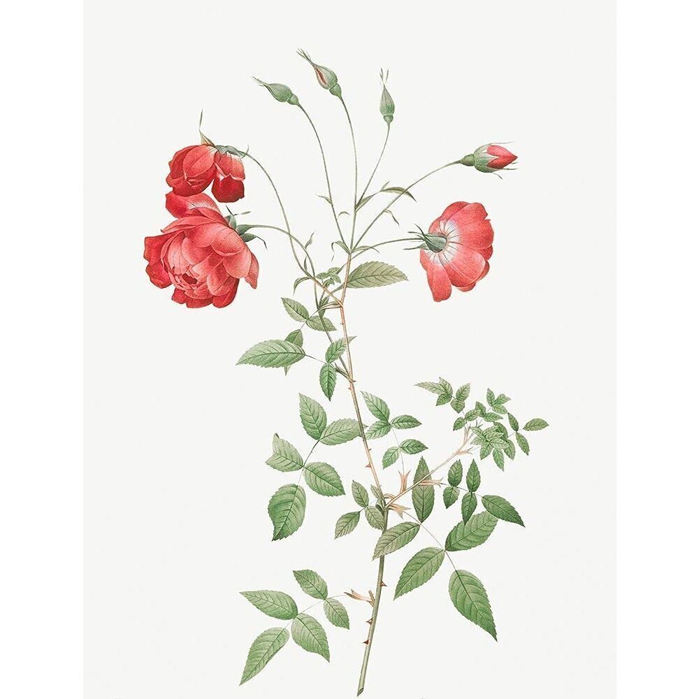 5633 PDX58264SMALL Artwork, Medium, Multi